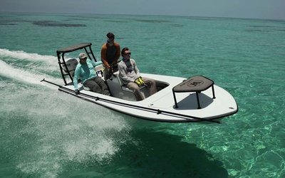 Beavertail Elite 17