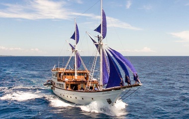 Custom Ocean Pure