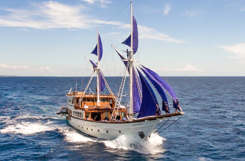 Custom Boats Ocean Pure