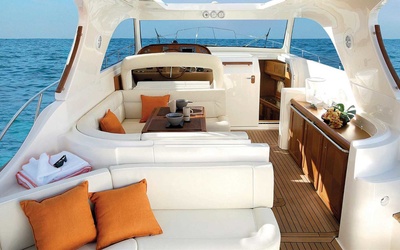 Mochi Craft Dolphin 44
