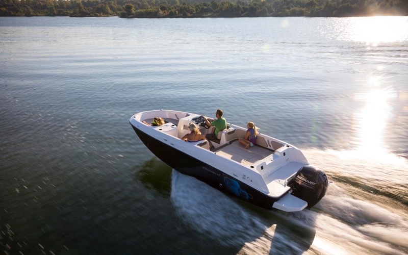 Bayliner Element E21