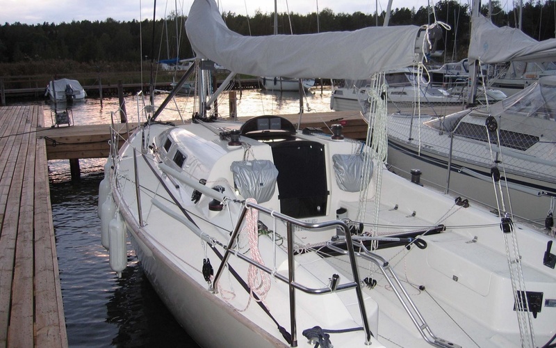 Ridas 31