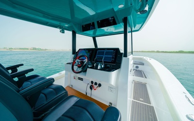 SilverCat 34CC