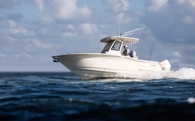 Scout 260 LXF