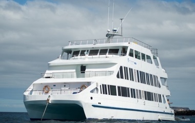 Antonai Saman Queen of Galapagos