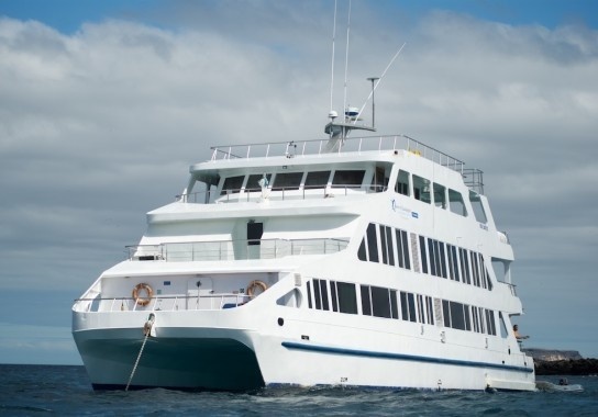 Antonai Saman Queen of Galapagos