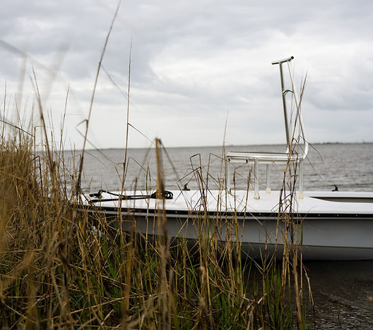 ZCB Pelican 16