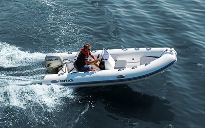 Brig Falcon 420