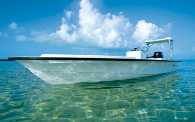 Dolphin 16'  Lodge Series