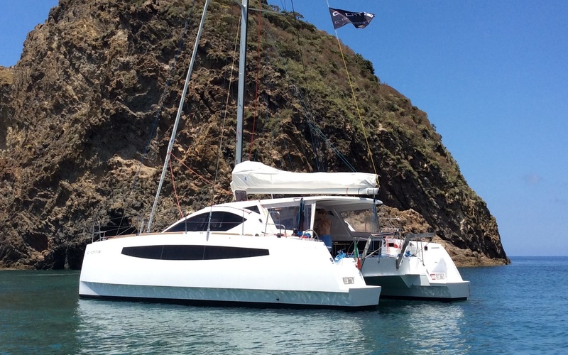 C-Cat 37