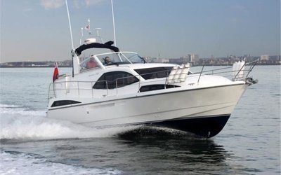 Broom 395