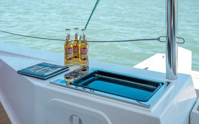 Neel Trimarans 43