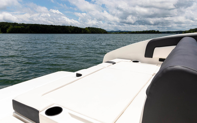 Bayliner DX2250