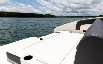 Bayliner DX2250