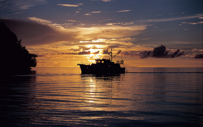 Selene 43
