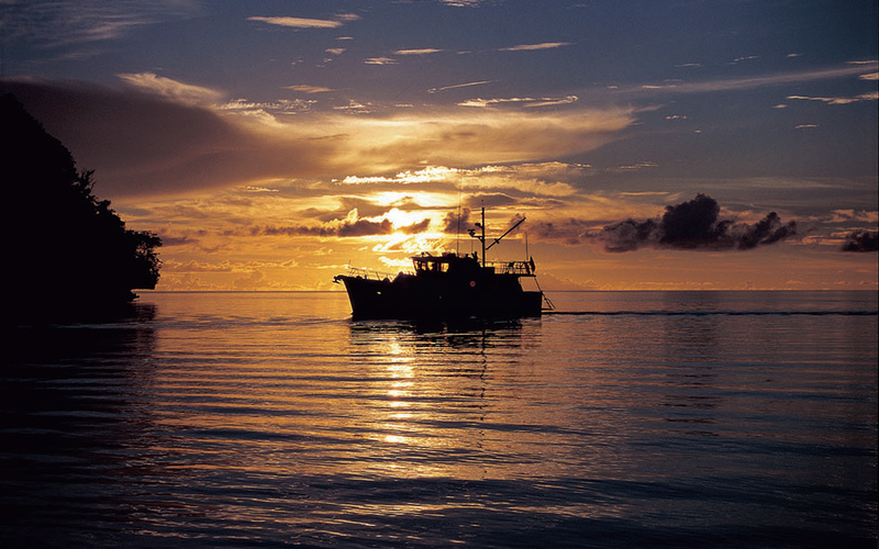 Selene 43