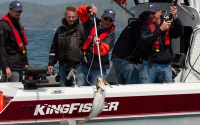 KingFisher 3025