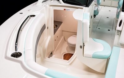Robalo R317