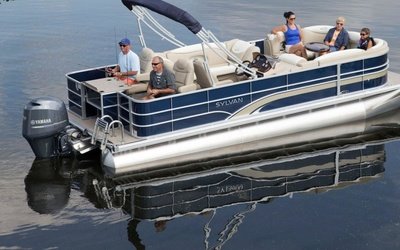 Sylvan Mirage Fish 822