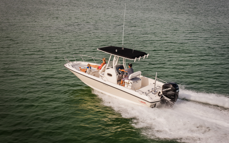 Boston Whaler 240 Dauntless