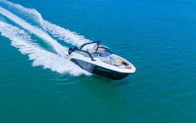 FS 290 Outboard