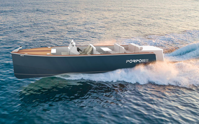Porpoise PT900
