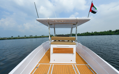 Al Shaali Warrior 33