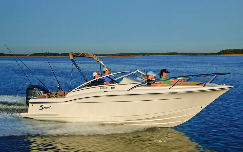 Scout 225 Dorado
