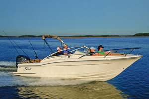 Scout 225 Dorado