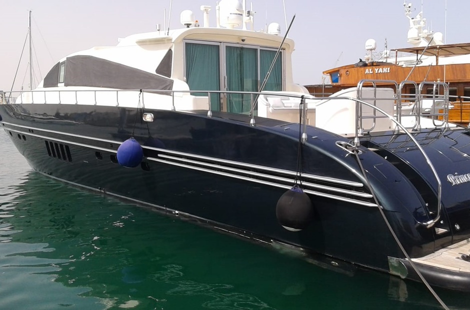 Leopard Princess Ayesha I