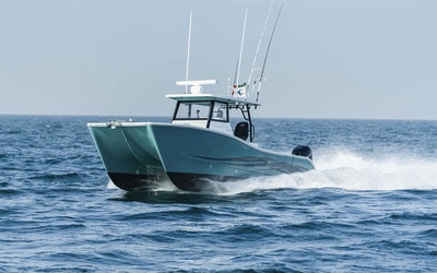 SilverCat 34CC