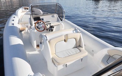 Marlin 298