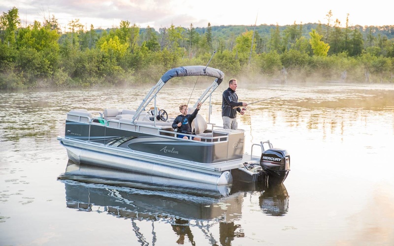 Avalon Venture Rear Fish 18