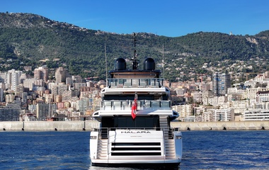 Mangusta Toy
