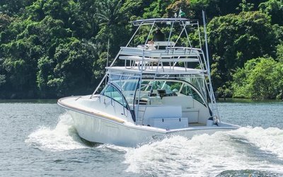 Fishing Raptor 420 Open