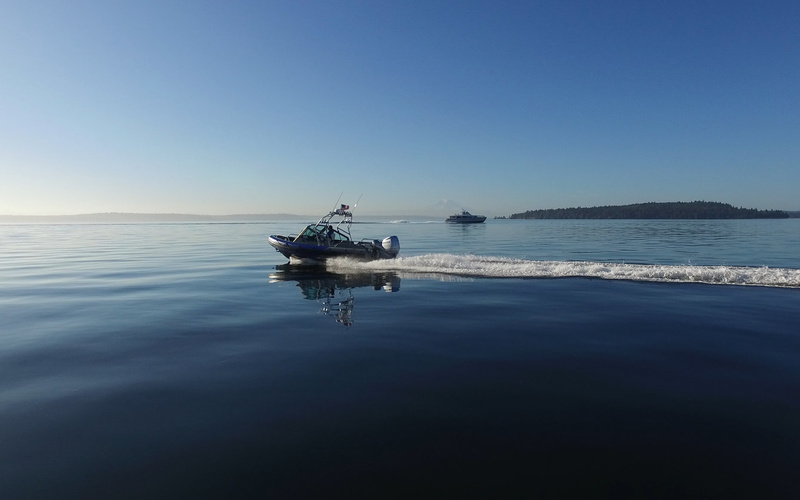 Life Proof 23 Runabout
