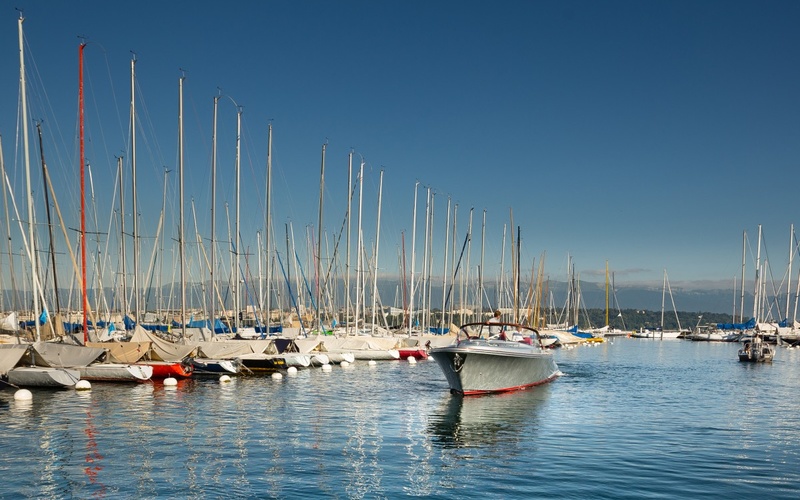 Wajer 37