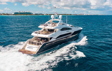 Sunseeker Acacia