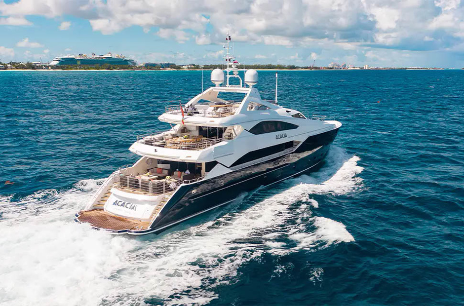 Sunseeker Acacia
