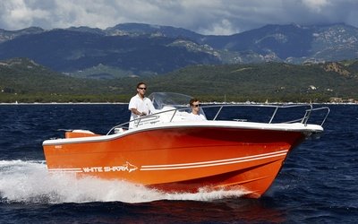 White Shark 246CC