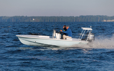 Egret 167