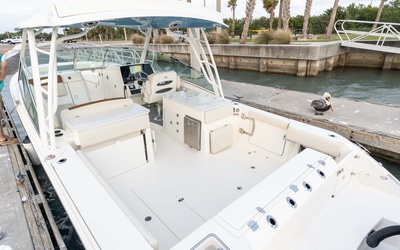 Cobia 330 DC