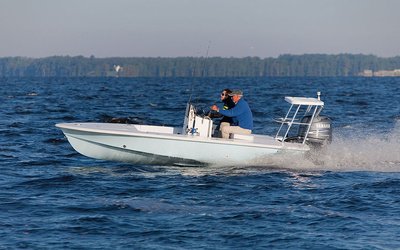 Egret 167