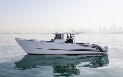 SilverCat 40CC