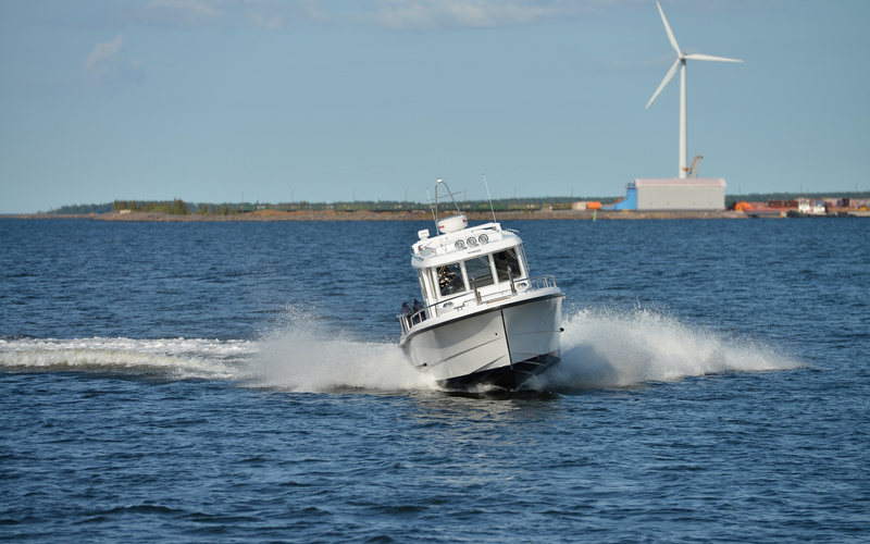 Sargo 25