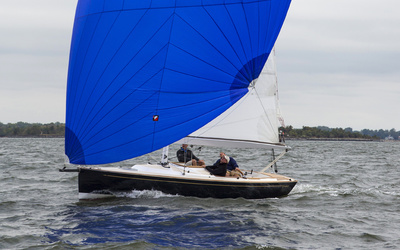 Tartan Fantail