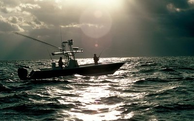 SeaVee 320