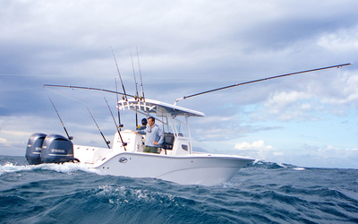 Sea Fox 288 Commander