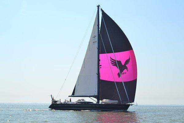 Oyster Raven