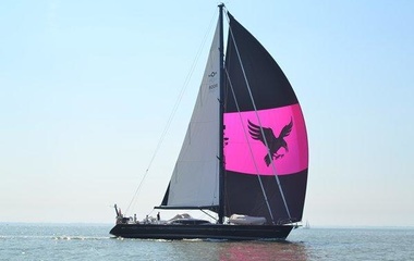 Oyster Raven